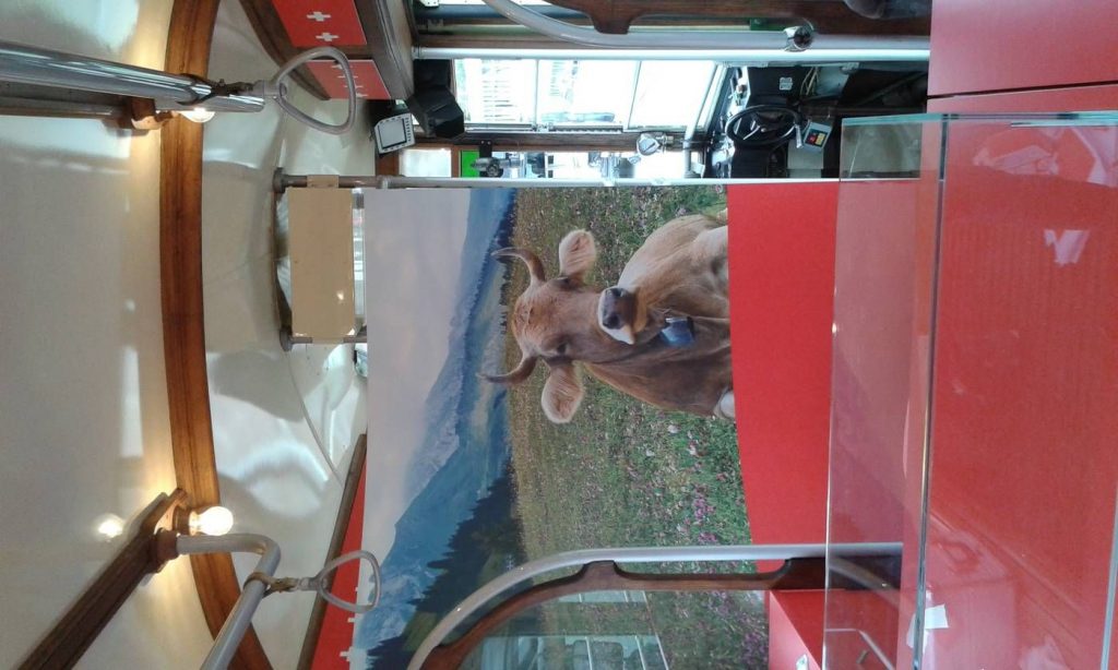 Il_Tram_del_Gusto_di_Formaggi_Svizzeri_arriva_a_Torino6