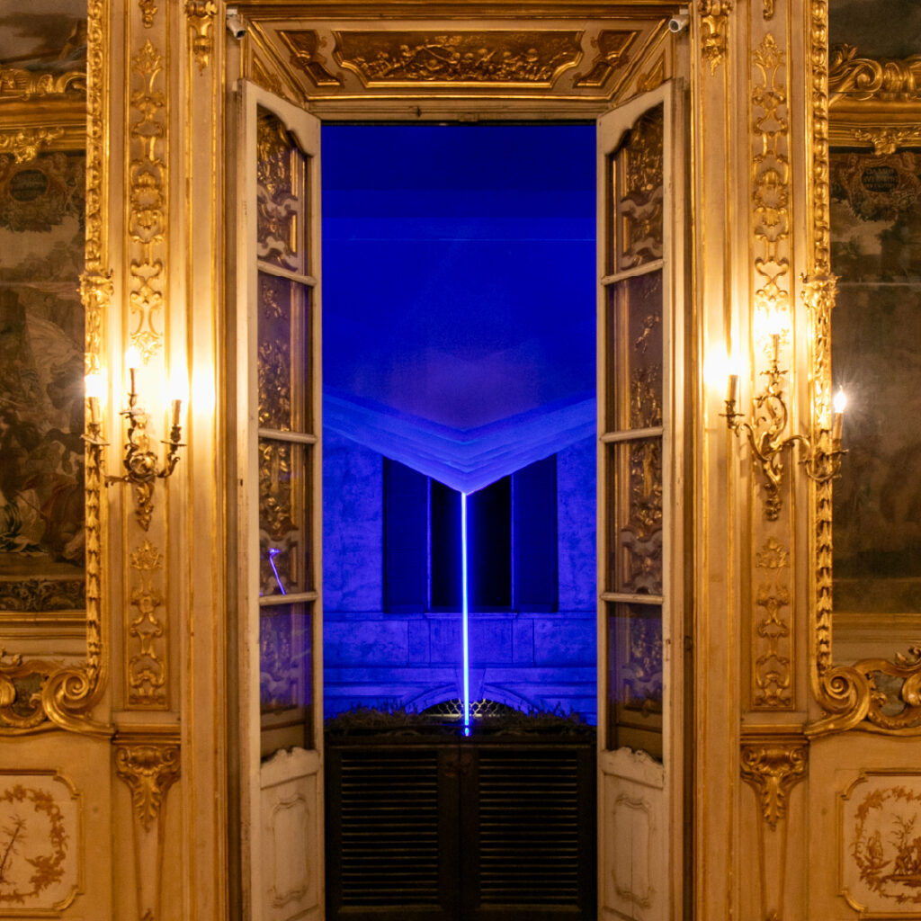 Cranchi immersio temporis adverteam_4