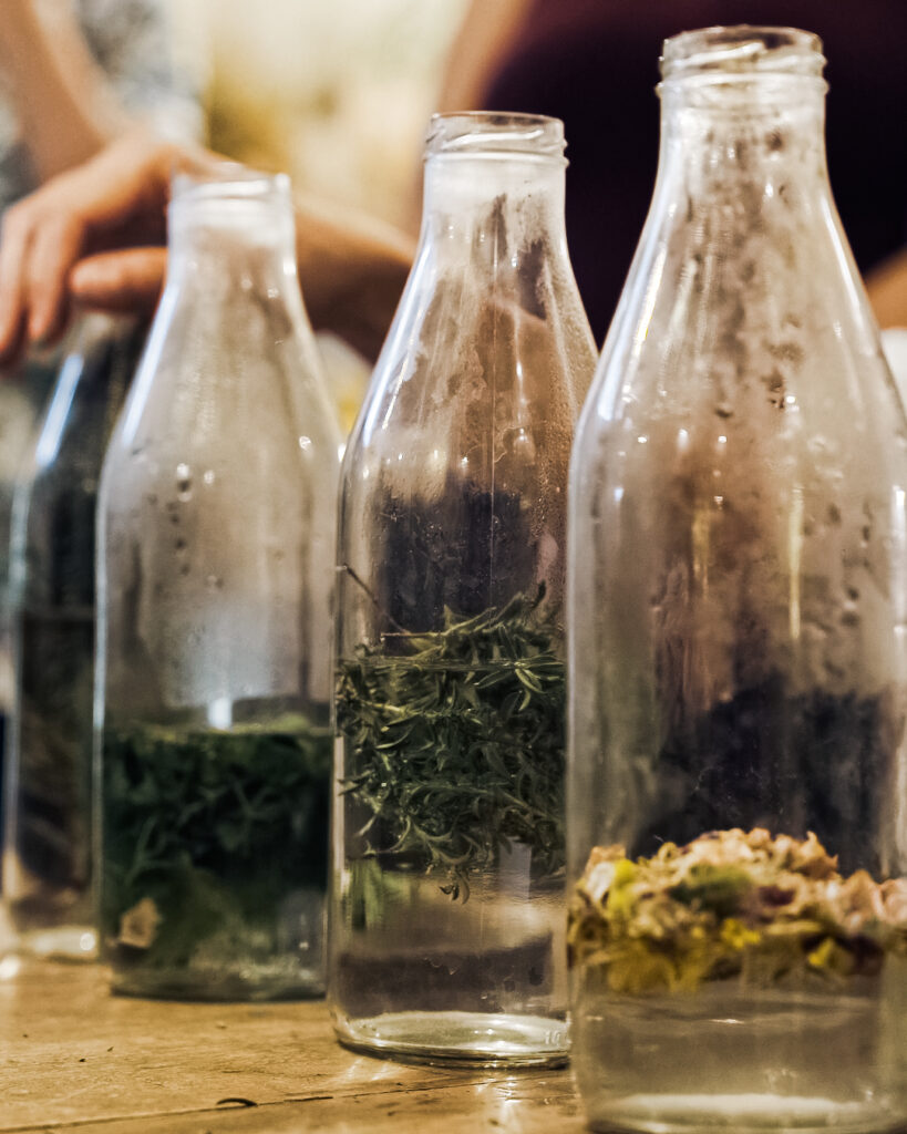 Formaggi dalla Svizzera 9 Dettaglio di bottiglie durante il workshop sulle erbe di montagna