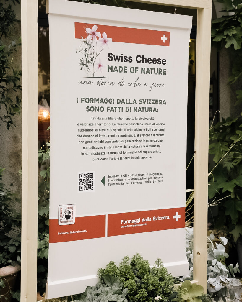 Formaggi dalla Svizzera 3 Cartellone sull'experience dei Formaggi dalla Svizzera con spiegazione